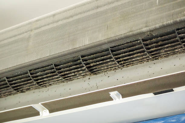 Best Ductwork Cleaning Services  in Merriam Woods, MO